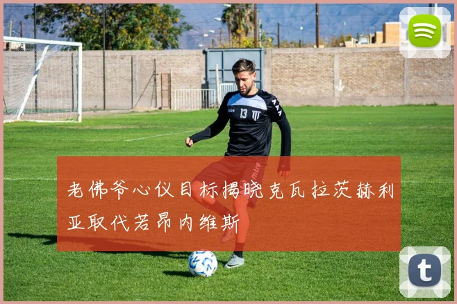 老佛爷心仪目标揭晓克瓦拉茨赫利亚取代若昂内维斯